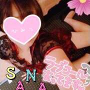 ヒメ日記 2025/03/30 09:46 投稿 高梨さな クラブ華