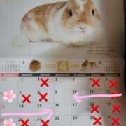 ヒメ日記 2025/04/01 02:20 投稿 高梨さな クラブ華