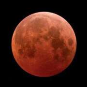 ヒメ日記 2025/09/08 05:21 投稿 高梨さな クラブ華