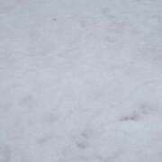 ヒメ日記 2026/02/08 06:44 投稿 高梨さな クラブ華