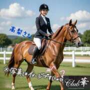 ヒメ日記 2026/02/28 02:15 投稿 高梨さな クラブ華