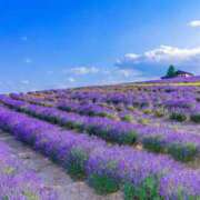 ヒメ日記 2026/03/01 23:37 投稿 高梨さな クラブ華