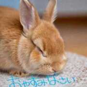 ヒメ日記 2026/03/02 00:57 投稿 高梨さな クラブ華