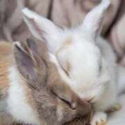 ヒメ日記 2026/03/03 00:32 投稿 高梨さな クラブ華