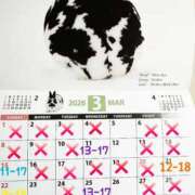 ヒメ日記 2026/03/06 23:10 投稿 高梨さな クラブ華