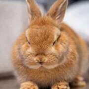 ヒメ日記 2026/03/08 19:55 投稿 高梨さな クラブ華