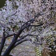 ヒメ日記 2026/03/28 01:14 投稿 高梨さな クラブ華