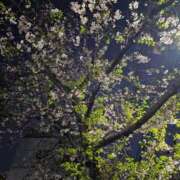 ヒメ日記 2026/04/03 02:54 投稿 高梨さな クラブ華