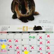 ヒメ日記 2026/04/03 06:01 投稿 高梨さな クラブ華