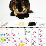 ヒメ日記 2026/04/10 13:39 投稿 高梨さな クラブ華