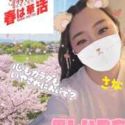 ヒメ日記 2026/04/18 19:10 投稿 高梨さな クラブ華