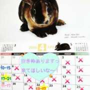 ヒメ日記 2026/04/25 12:04 投稿 高梨さな クラブ華