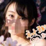 ヒメ日記 2026/04/28 13:45 投稿 高梨さな クラブ華