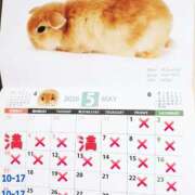 ヒメ日記 2026/05/09 20:32 投稿 高梨さな クラブ華