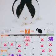 ヒメ日記 2026/06/25 12:16 投稿 高梨さな クラブ華
