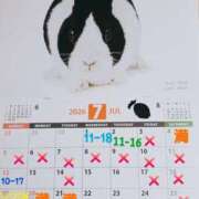 ヒメ日記 2026/07/05 12:16 投稿 高梨さな クラブ華