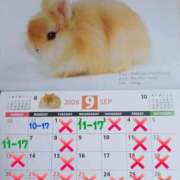ヒメ日記 2026/09/01 13:46 投稿 高梨さな クラブ華