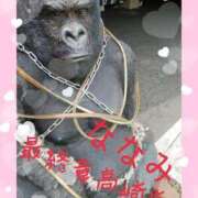 ヒメ日記 2025/06/19 08:12 投稿 ななみ 熟女の風俗最終章 高崎店