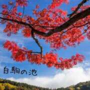 ヒメ日記 2025/10/23 08:18 投稿 ななみ 熟女の風俗最終章 高崎店