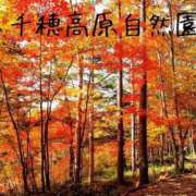 ヒメ日記 2025/10/30 08:08 投稿 ななみ 熟女の風俗最終章 高崎店