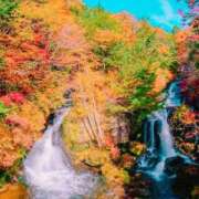 ヒメ日記 2025/11/06 08:28 投稿 ななみ 熟女の風俗最終章 高崎店