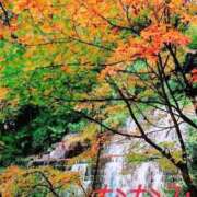 ヒメ日記 2025/11/07 08:26 投稿 ななみ 熟女の風俗最終章 高崎店