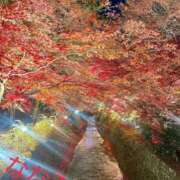 ヒメ日記 2025/11/13 08:18 投稿 ななみ 熟女の風俗最終章 高崎店