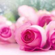 ヒメ日記 2025/05/09 19:37 投稿 京香(きょうか) グランドオペラ福岡