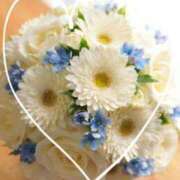 ヒメ日記 2024/12/13 22:25 投稿 ゆう 新宿・新大久保おかあさん