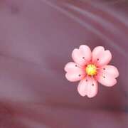 ヒメ日記 2025/09/18 17:01 投稿 ゆあ ニューハーフヘルスxoxokiss キスキスキス西船橋・千葉