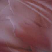 ヒメ日記 2026/02/07 17:01 投稿 ゆあ ニューハーフヘルスxoxokiss キスキスキス西船橋・千葉