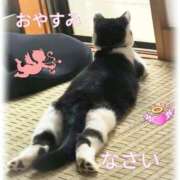 ヒメ日記 2024/12/17 20:36 投稿 中居ちはる 五十路マダム東広島店(カサブランカグループ)