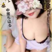 ヒメ日記 2025/06/08 11:04 投稿 中居ちはる 五十路マダム東広島店(カサブランカグループ)