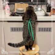 ヒメ日記 2025/06/08 16:58 投稿 中居ちはる 五十路マダム東広島店(カサブランカグループ)