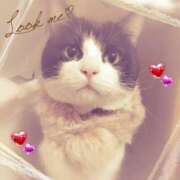 中居ちはる ☆お知らせ☆ 五十路マダム東広島店(カサブランカグループ)