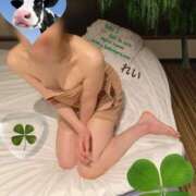 ヒメ日記 2025/06/29 06:23 投稿 れい☆ 人妻アクメ 60分11000円～