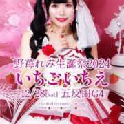 ヒメ日記 2024/12/15 11:06 投稿 野苺れみ 五反田ウルトラファンタジー