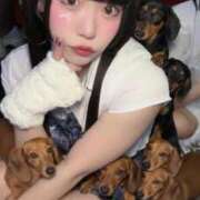 ヒメ日記 2025/12/03 17:47 投稿 野苺れみ 五反田ウルトラファンタジー