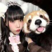 野苺れみ ドライブデート🚗 五反田ウルトラファンタジー