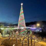 ヒメ日記 2024/12/22 10:18 投稿 ひなの 出会い系人妻ネットワーク さいたま～大宮編