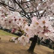 ヒメ日記 2025/04/08 11:05 投稿 ひなの 出会い系人妻ネットワーク さいたま～大宮編