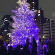 ヒメ日記 2024/12/24 19:51 投稿 吉沢まこと 禁断のメンズエステR-18堺・南大阪店