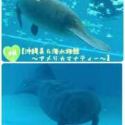 ヒメ日記 2023/09/15 22:13 投稿 かのん 土浦人妻花壇