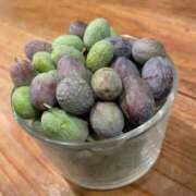 ヒメ日記 2024/12/09 11:39 投稿 内村 由美 30代40代50代と遊ぶなら博多人妻専科24時