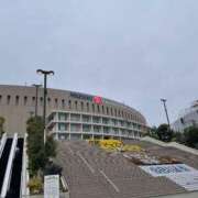 ヒメ日記 2025/03/14 18:04 投稿 内村 由美 30代40代50代と遊ぶなら博多人妻専科24時