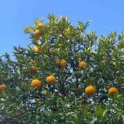 ヒメ日記 2025/03/23 14:11 投稿 内村 由美 30代40代50代と遊ぶなら博多人妻専科24時