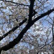 ヒメ日記 2025/03/31 20:36 投稿 内村 由美 30代40代50代と遊ぶなら博多人妻専科24時