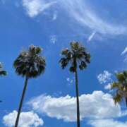 ヒメ日記 2025/04/27 14:49 投稿 内村 由美 30代40代50代と遊ぶなら博多人妻専科24時