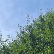 ヒメ日記 2025/06/19 13:55 投稿 内村 由美 30代40代50代と遊ぶなら博多人妻専科24時