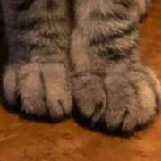 ヒメ日記 2025/09/10 10:37 投稿 内村 由美 30代40代50代と遊ぶなら博多人妻専科24時